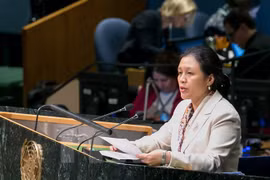 Le Vietnam affirme ses engagements envers le Programme de développement durable