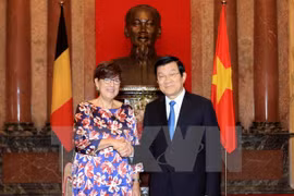 Le président Truong Tan Sang reçoit de nouveaux ambassadeurs