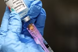 Un vaccin vietnamien contre la maladie de l’oreille bleue