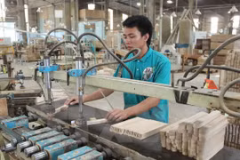 Bac Kan: construction d'une grande usine de bois