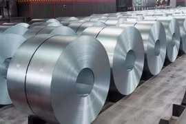Les entreprises vietnamiennes "ne pratiquent pas de dumping"