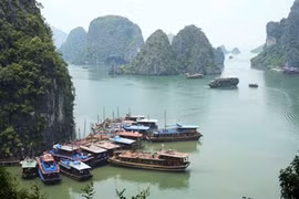 Opération de séduction du Vietnam auprès des touristes russes