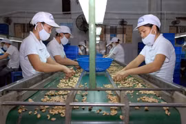 L’UE est prête à aider les entreprises vietnamiennes 