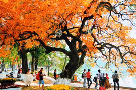 Hanoi et Ho Chi Minh-Ville, deux destinations à prix raisonnable