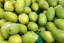 Les produits agricoles vietnamiens à la conquête du marché japonais 