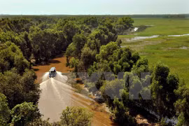 Préservation de la biodiversité dans la région centrale de Truong Son