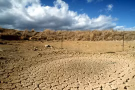 Le Vietnam conjugue les efforts communs pour faire face aux changements climatiques