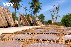 Le métier de confection des galettes de riz de Thuân Hung fleure bon la tradition