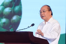 Le PM exige plus d’efforts pour assurer une culture efficace de la macadamia