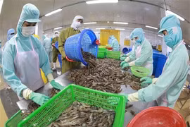 Les ventes de crevettes devraient rapporter 4,2 milliards de dollars en 2022