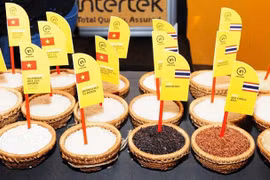 Le marché de l’Europe du Nord prometteur pour le riz vietnamien 