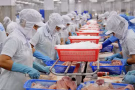 Les exportations de pangas en forte hausse en 2018