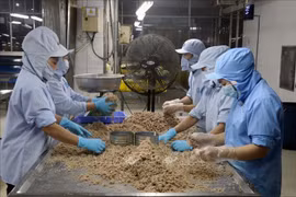Kiên Giang table sur une croissance du chiffre d’affaires à l’export de 12,7%