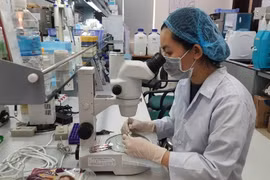 Publications scientifiques: Le Vietnam conforte sa place dans le top 50