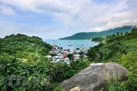 Des pistes pour gérer et à préserver les réserves de biosphère du Vietnam