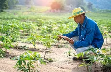 Le secteur agroalimentaire malaisien dispose d’un potentiel important