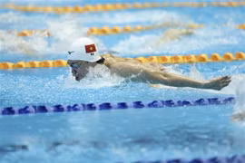 Dix nageurs vietnamiens en compétition aux championnats du monde de natation 2023 au Japon