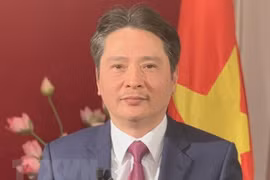 Vietnam-Algérie : volonté commune de renforcer leurs relations économiques