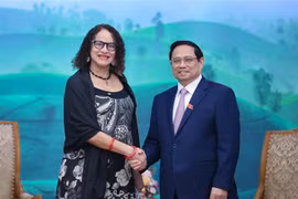 Le Vietnam prêt à accompagner le Brésil sur des questions multilatérales et internationales