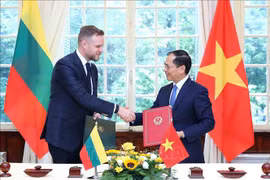 Vietnam-Lituanie: entretien entre les deux ministres des Affaires étrangères
