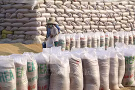 Les prix du riz à l'exportation du Vietnam grimpent en flèche