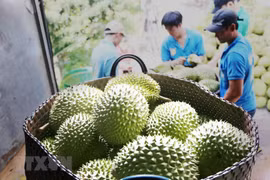 Le renforcement des liens Vietnam-Chine a le meilleur des deux mondes