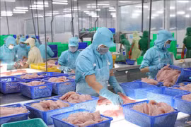 Le Japon devient le plus grand importateur de produits aquatiques vietnamiens