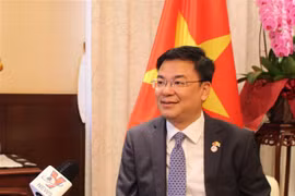 Les relations Vietnam-Japon sont à l'apogée de leur histoire