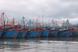 La province de Binh Thuân poursuit la lutte contre la pêche INN
