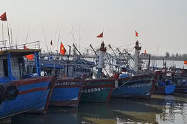 Pêche INN : redoubler d’efforts pour lever le "carton jaune"