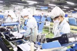 Porter la coopération entre le Vietnam et les Pays-Bas à une nouvelle hauteur