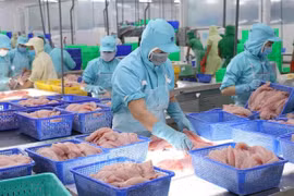 Les exportations de pangasius devraient rebondir au troisième trimestre 2023