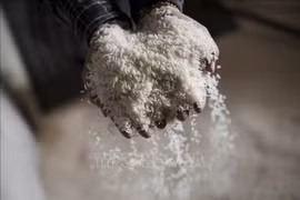 L'Indonésie s'efforce de freiner la hausse des prix du riz