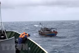 La Thaïlande et le Vietnam coopèrent dans l'application des lois maritimes