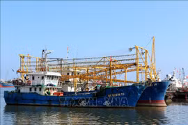 Quang Tri intensifie sa lutte contre la pêche INN