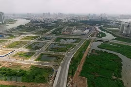 Des Viet-kieu en République tchèque donnent des avis sur le projet de loi foncière (révisée)