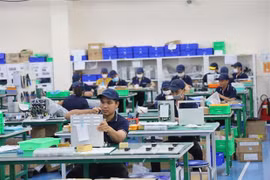 Des entreprises japonaises recherchent des opportunités d'investissement dans le delta du Mékong