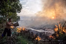 L'Indonésie discute de solutions pour faire face à El Niño