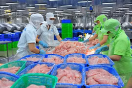La Chine importe massivement du pangasius du Vietnam