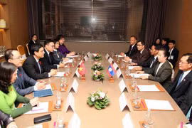 Vietnam-Laos : renforcement de la coopération entre des Commissions des Assemblées nationales 