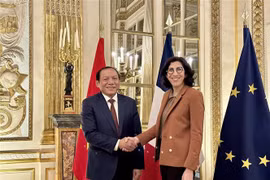 Coopération culturelle - un point lumineux reliant l'amitié Vietnam-France