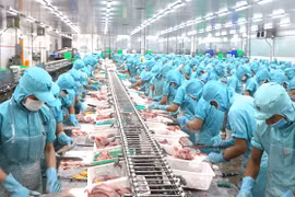 Dong Thap vise une croissance économique de 7,5% en 2023