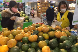 Le “made in Vietnam” consolide sa position sur le marché intérieur