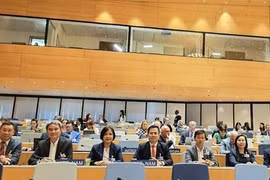 Le Vietnam continue de coopérer avec l'OMPI sur les questions de propriété intellectuelle