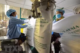 Exportations de riz du Vietnam en hausse en raison de la pénurie d'approvisionnement