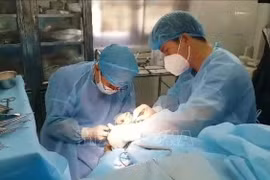L’infirmerie de Truong Sa Dông opère un pêcheur souffrant d’une appendicite aiguë