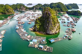 Des destinations prisées au Vietnam attirent les touristes