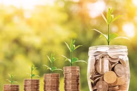 Le crédit vert pour les objectifs de développement durable