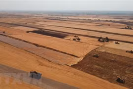 Remise rapide de terrains pour les sous-projets de l'aéroport international de Long Thanh