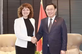 Le président de l'AN Vuong Dinh Huê reçoit des dirigeants de groupes économiques de Bulgarie et du Danemark